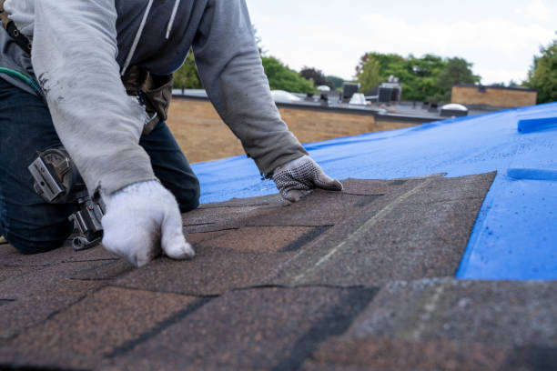 Best New Roof Installation  in Brownfields, LA